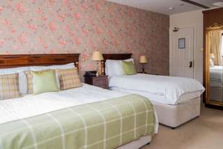 Отели типа «постель и завтрак» Hazelwood Lodge Балливон Двухместный номер Делюкс с 1 кроватью (для 2 взрослых и 1 ребенка)-3