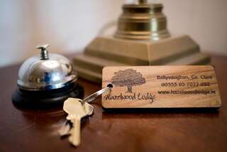 Отели типа «постель и завтрак» Hazelwood Lodge Балливон-2